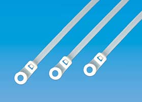 固定琐式束线带